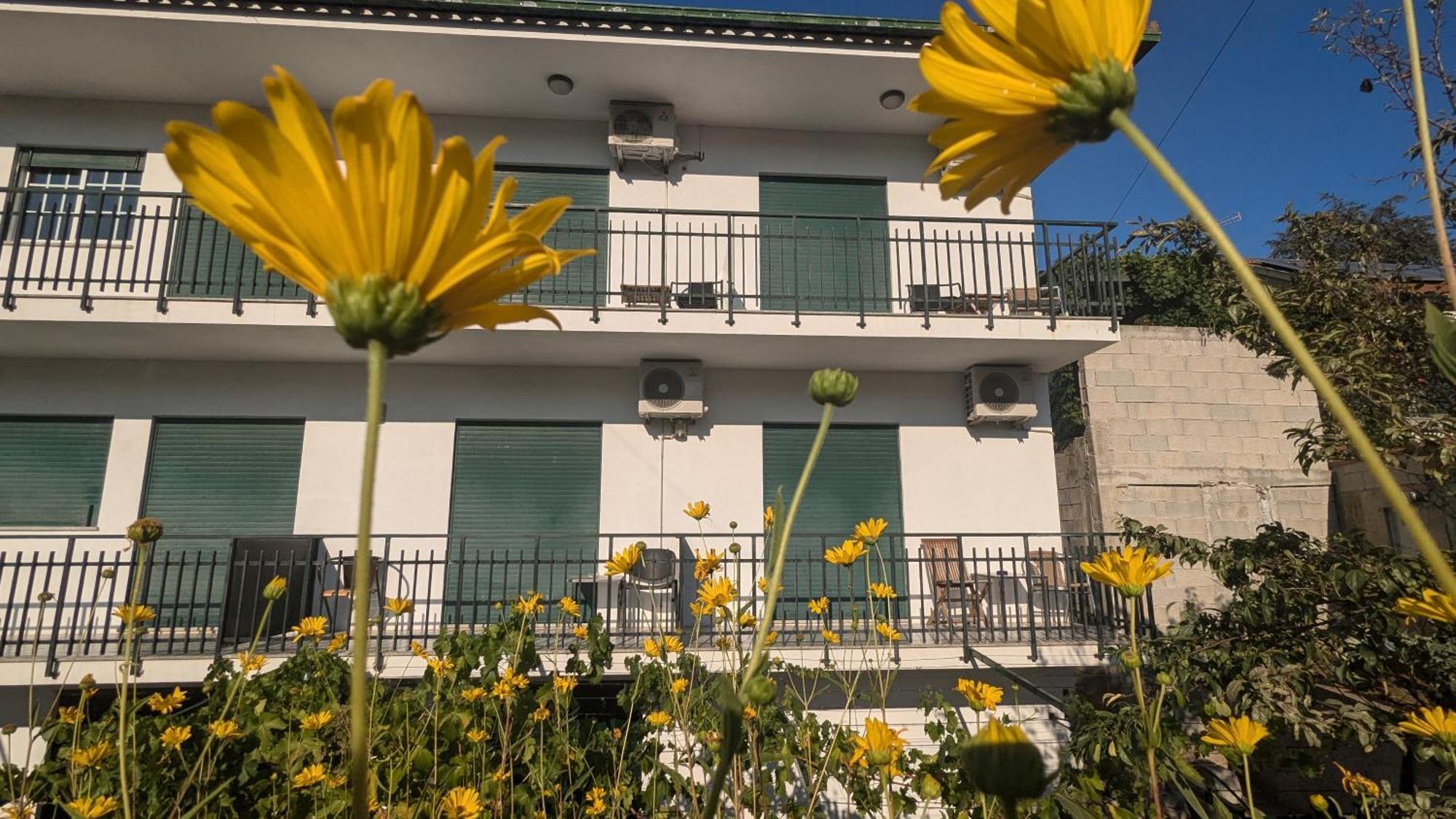 Casa Do Olival Hotel Peso da Regua Ngoại thất bức ảnh