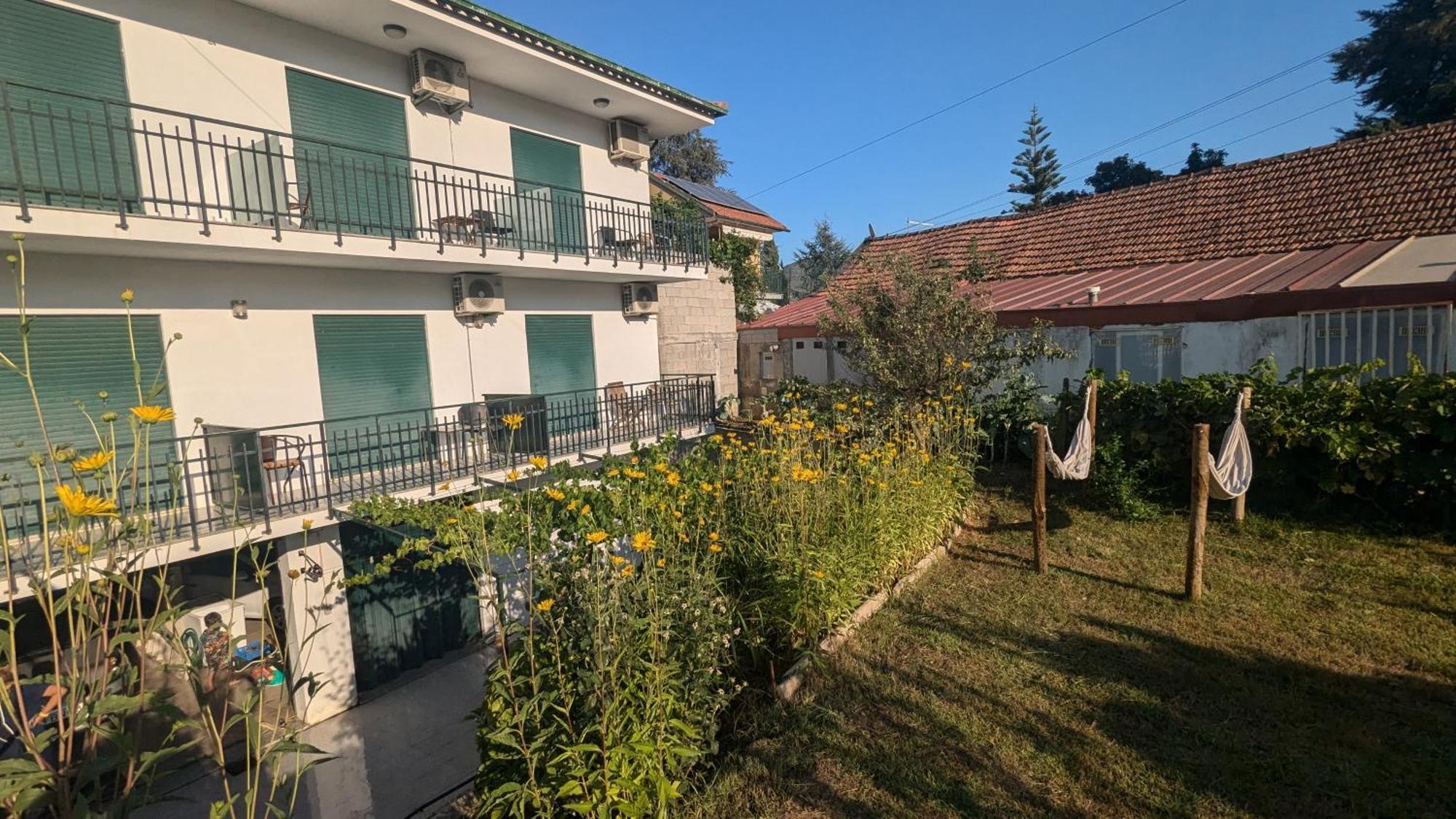 Casa Do Olival Hotel Peso da Regua Ngoại thất bức ảnh
