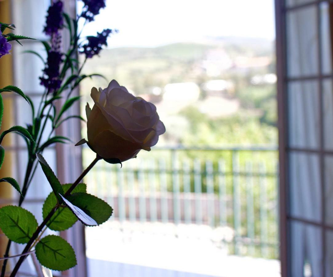 Casa Do Olival Hotel Peso da Regua Ngoại thất bức ảnh